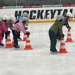 Projekt,,Děti do bruslí"