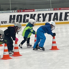 Projekt,,Děti do bruslí"