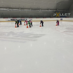 Projekt,,Děti do bruslí"