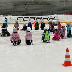 Projekt,,Děti do bruslí"