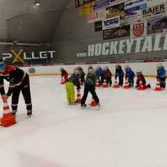 Kytičky - "Děti do bruslí" podzim 2025