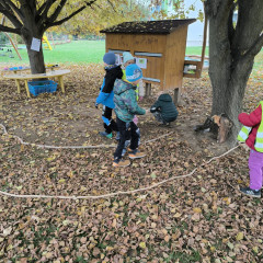 Environmentální program pro předškoláky - Pod srdcovým listem