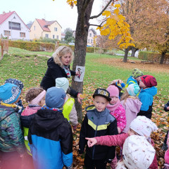 Environmentální program pro předškoláky - Pod srdcovým listem