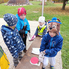 Environmentální program pro předškoláky - Pod srdcovým listem