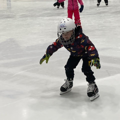 Projekt,,Děti do bruslí"