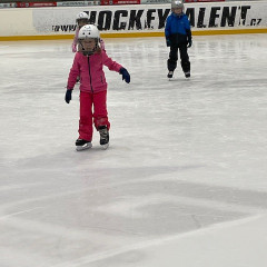 Projekt,,Děti do bruslí"