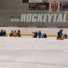 Kytičky - "Děti do bruslí" podzim 2025