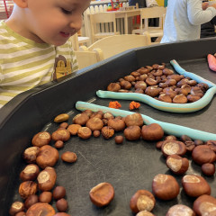 I. třída- Co přinášíš podzime, to se brzy dozvíme