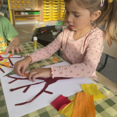 I. třída- Co přinášíš podzime, to se brzy dozvíme