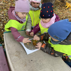 I. třída- Co přinášíš podzime, to se brzy dozvíme