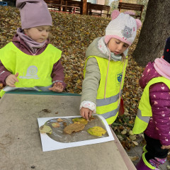 I. třída- Co přinášíš podzime, to se brzy dozvíme