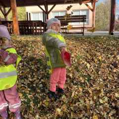 I. třída- Co přinášíš podzime, to se brzy dozvíme