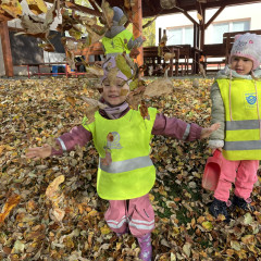 I. třída- Co přinášíš podzime, to se brzy dozvíme