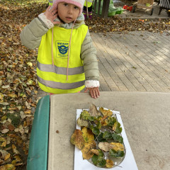 I. třída- Co přinášíš podzime, to se brzy dozvíme