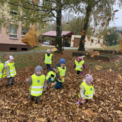 I. třída- Co přinášíš podzime, to se brzy dozvíme