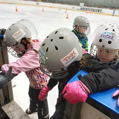 Projekt,,Děti do bruslí"