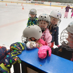 Projekt,,Děti do bruslí"