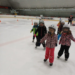 Projekt,,Děti do bruslí"
