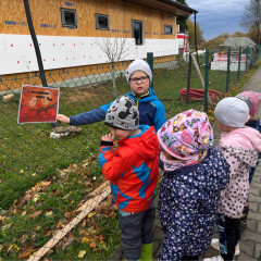 Halloweenská stezka