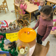 Sluníčka - Advent a vánoční těšení 2025