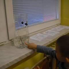 Berušky -  Bílá paní zima jede na saních /26