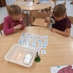 Kytičky -  Bílá paní zima jede na saních /26