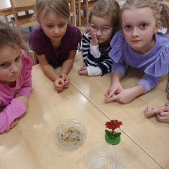 Kytičky -  Bílá paní zima jede na saních /26