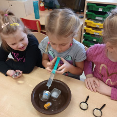 Kytičky -  Bílá paní zima jede na saních /26