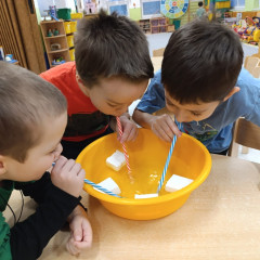 Kytičky -  Bílá paní zima jede na saních /26