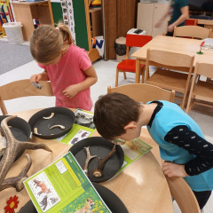 Kytičky -  Bílá paní zima jede na saních /26