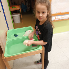 Kytičky -  Bílá paní zima jede na saních /26