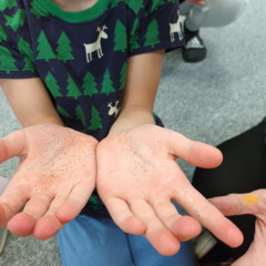 Kytičky -  Bílá paní zima jede na saních /26