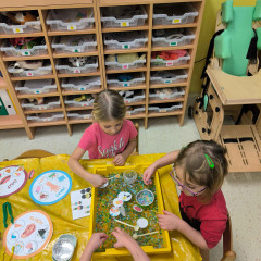 Sluníčka -  Bílá paní zima jede na saních /26