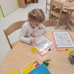 Kytičky -  Bílá paní zima jede na saních /26