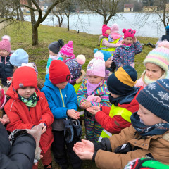 Sluníčka -  Bílá paní zima jede na saních /26