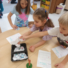 Kytičky -  Bílá paní zima jede na saních /26