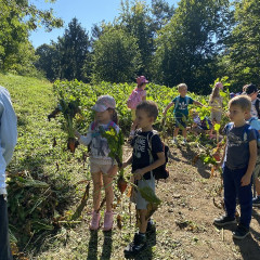 Strážnice - předškoláci