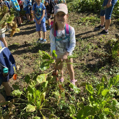 Strážnice - předškoláci