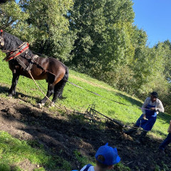 Strážnice - předškoláci