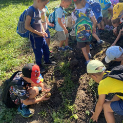 Strážnice - předškoláci