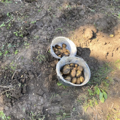 Strážnice - předškoláci