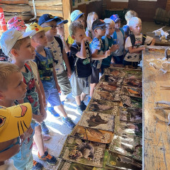 Strážnice - předškoláci