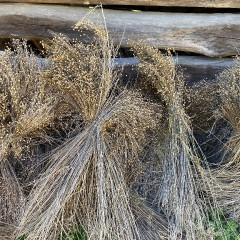 Strážnice - předškoláci