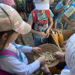Strážnice - předškoláci