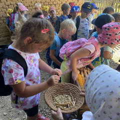 Strážnice - předškoláci