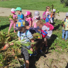 Strážnice - předškoláci