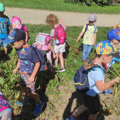 Strážnice - předškoláci