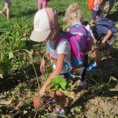 Strážnice - předškoláci