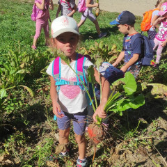 Strážnice - předškoláci