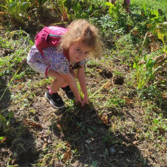 Strážnice - předškoláci